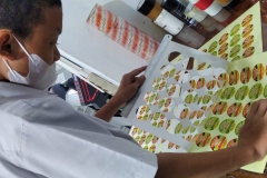 IMG-20230206-WA0012